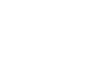 aurobindo